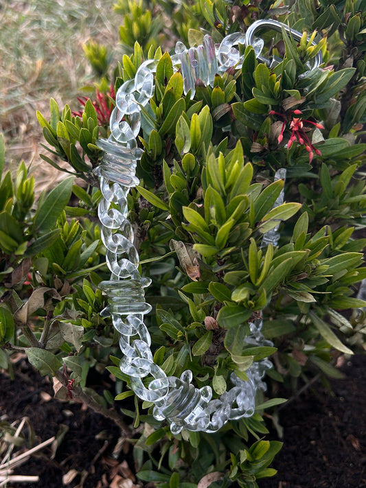 Thorns No Pendant Chain